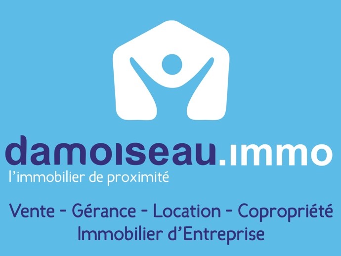 logo damoiseau immo le mans