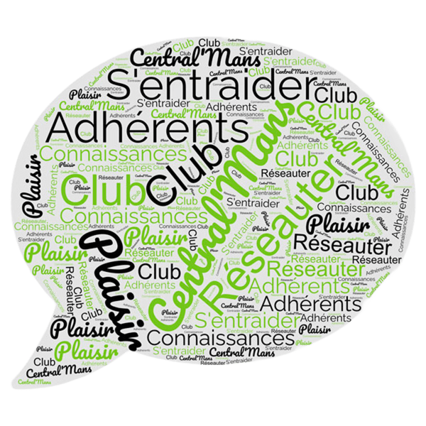 logo-ibis-lemans-central'mans