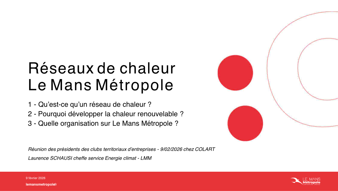 Réseaux chaleur LMM Logo FIDUCIAL Expertise